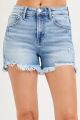 High Rise Distressed Shorts